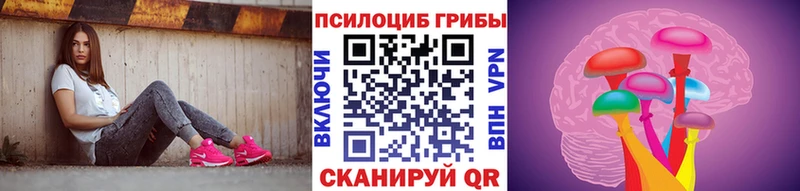 Галлюциногенные грибы прущие грибы  Купить закладки  Кузнецк 